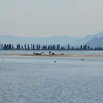 Portina Baćina